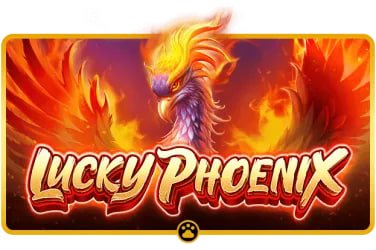 6v666 login